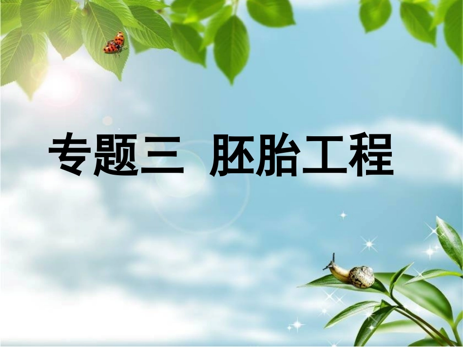 受精及胚胎发育过程8888_第2页