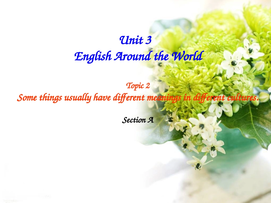 伍Unit3Topic2SectionA2_第1页