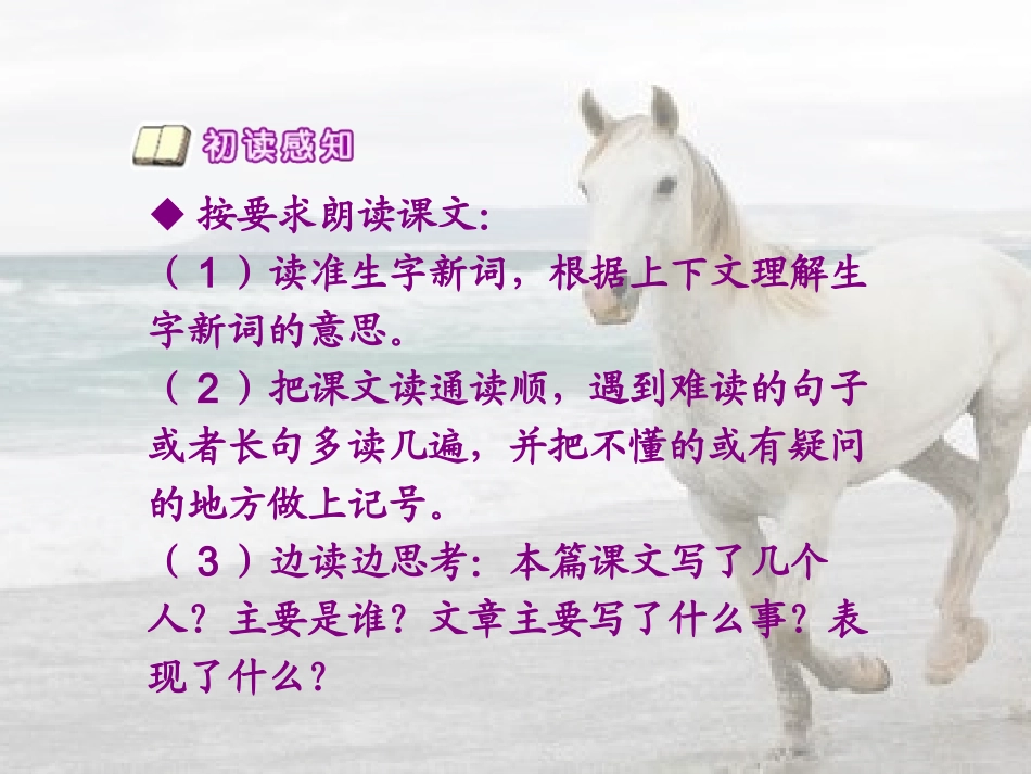 《别饿坏了那匹马》_第3页