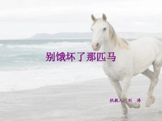 《别饿坏了那匹马》