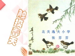 张芬芬《新触摸春天》课件
