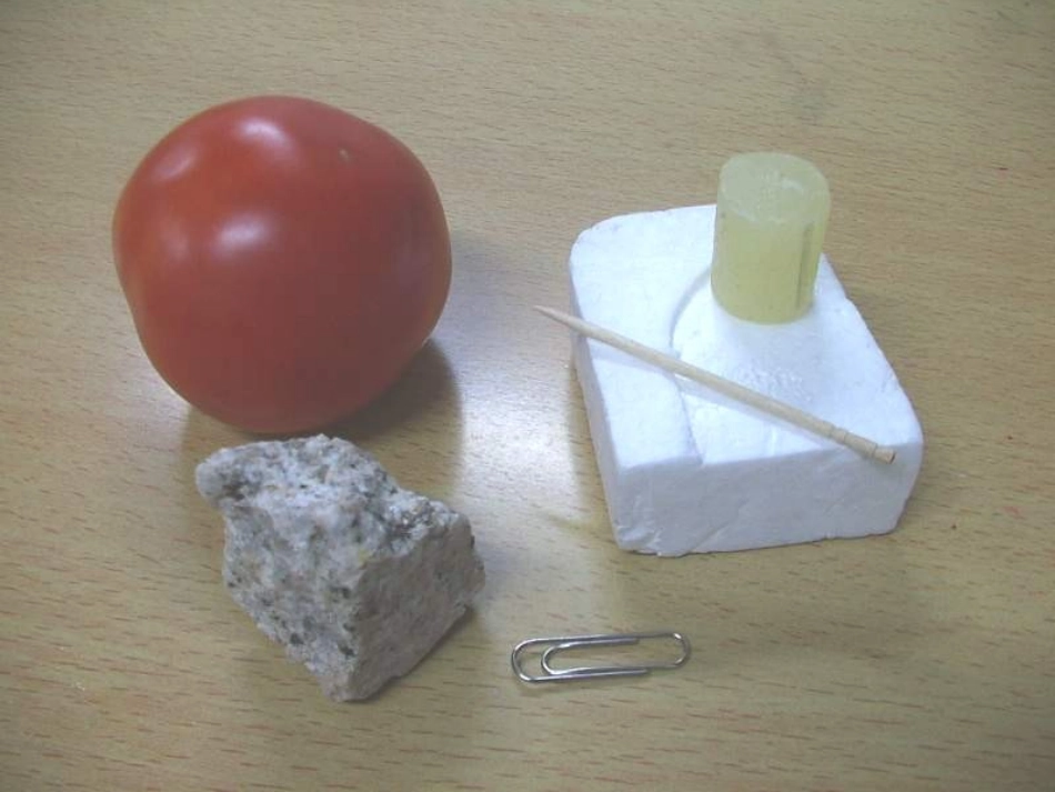 小学科学物体在水中是沉还是浮_第3页