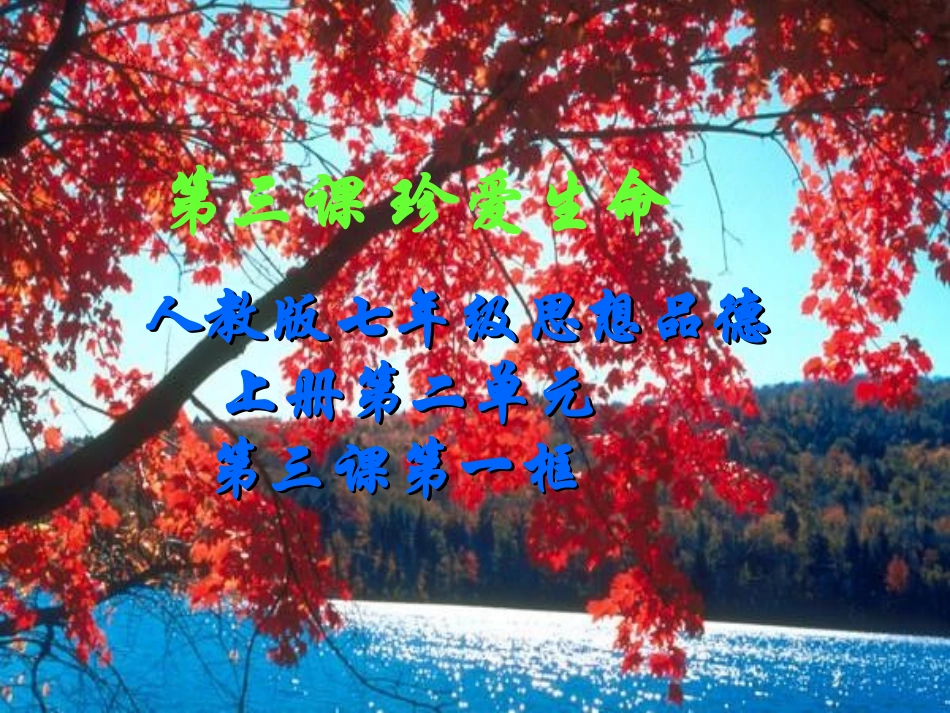 世界因生命而精彩课件 (4)_第1页