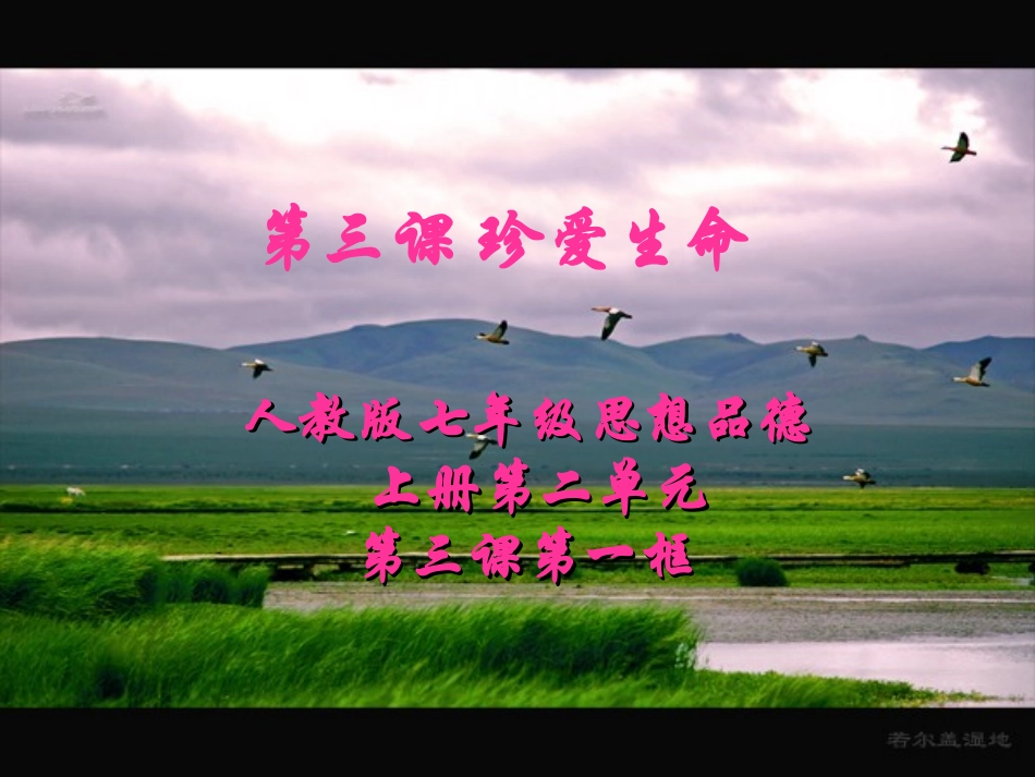 世界因生命而精彩课件 (4)_第3页