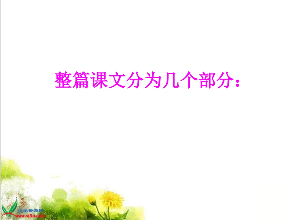 北师大版五年级语文上册《绿色千岛湖》课件_第3页