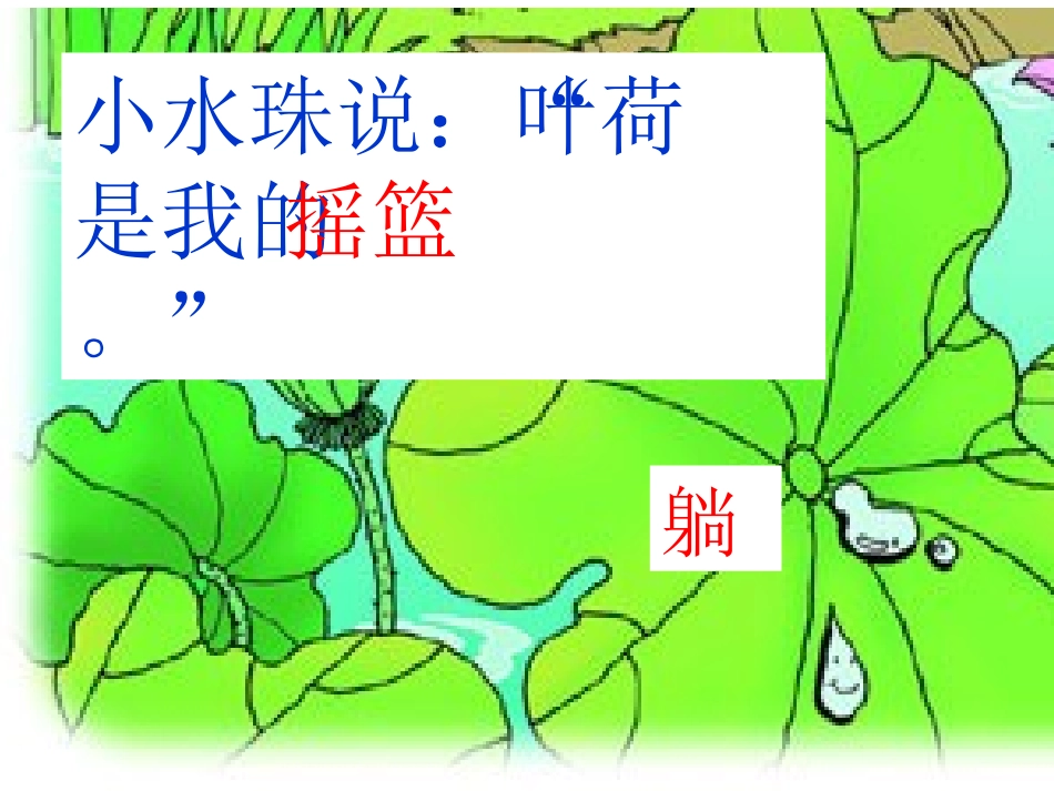 《荷叶圆圆》教学课件_第2页