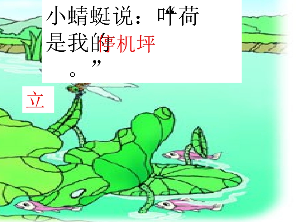 《荷叶圆圆》教学课件_第3页