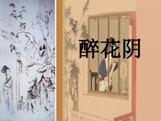 《醉花阴》优秀实用课件yong