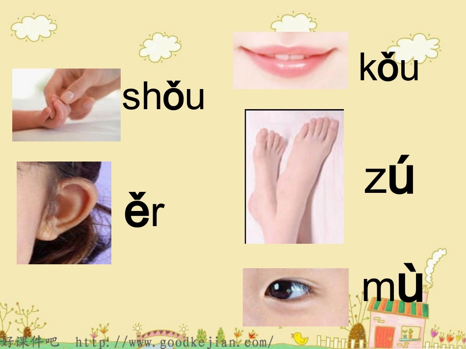 语文s版第一册_观察人体识汉字_课件_第2页