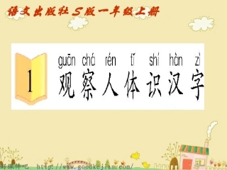 语文s版第一册_观察人体识汉字_课件