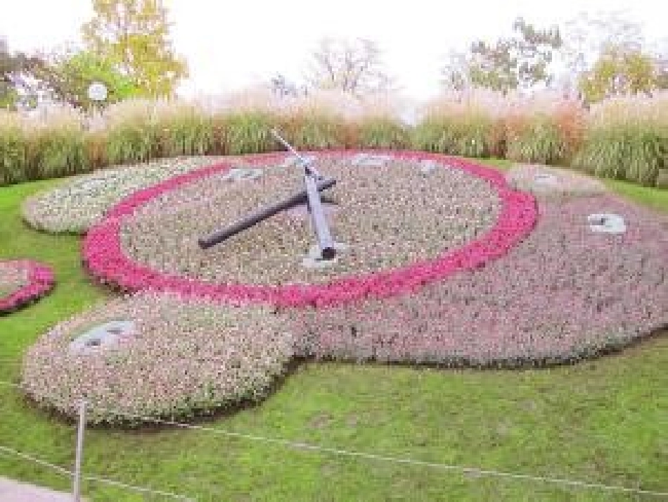 三年级语文上册13花钟_第3页