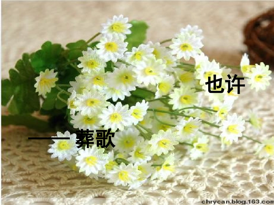 也许——葬歌新版_第2页