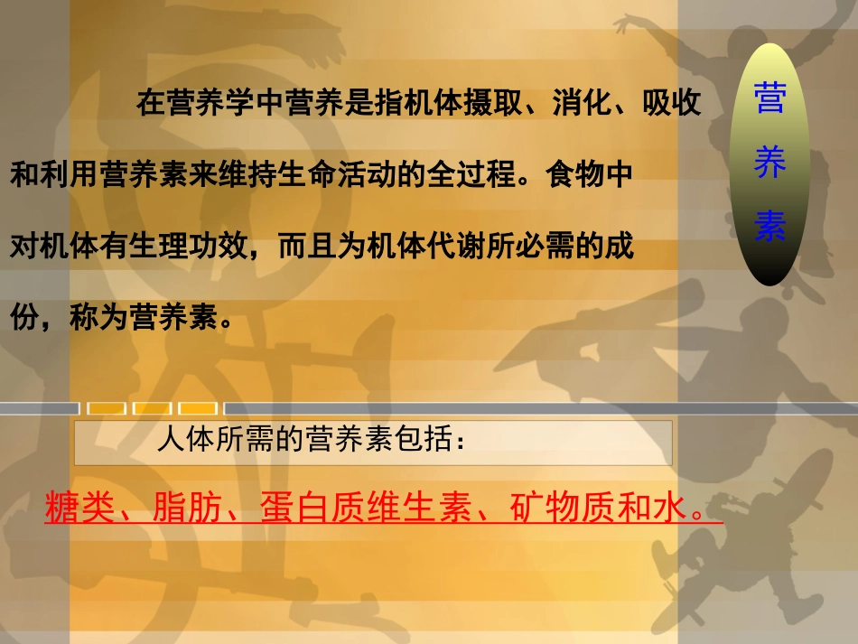 体育与健康（自）dps_第3页