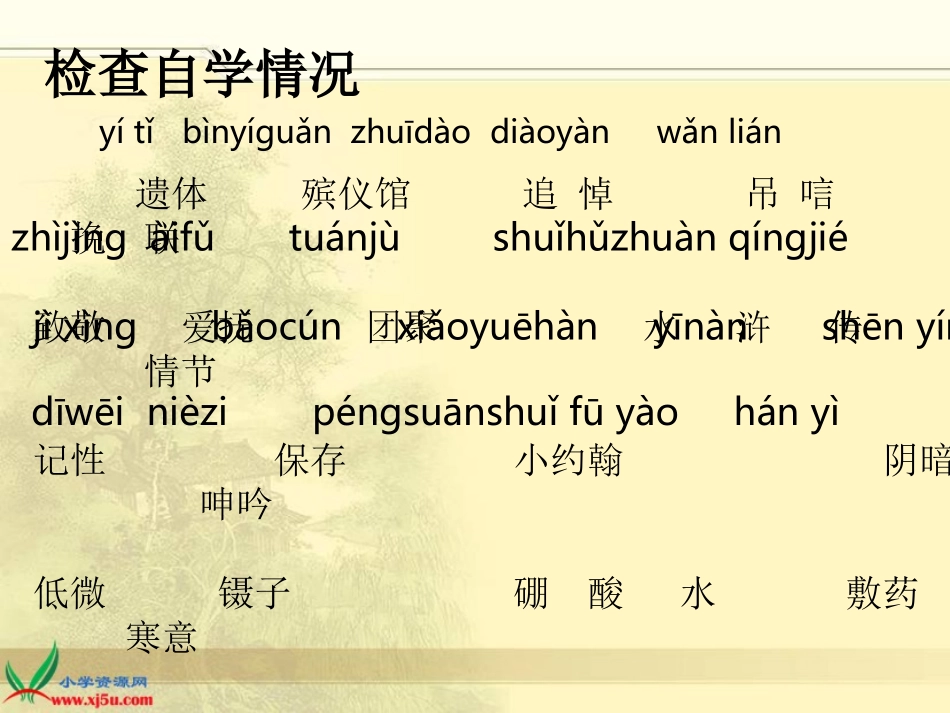 我的伯父鲁迅先生课件_第2页