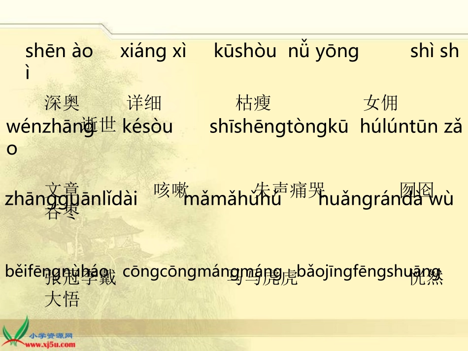 我的伯父鲁迅先生课件_第3页