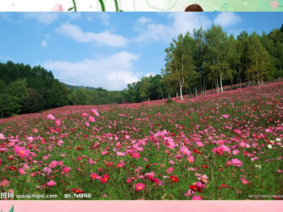 二年级语文花孩子课件_第3页