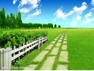 少年的权利(七年级思想品德第九课)