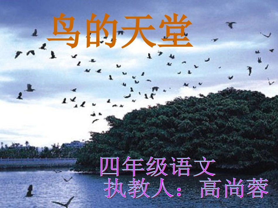 四年级语文《鸟的天堂》_第1页