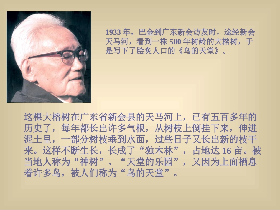 四年级语文《鸟的天堂》_第2页