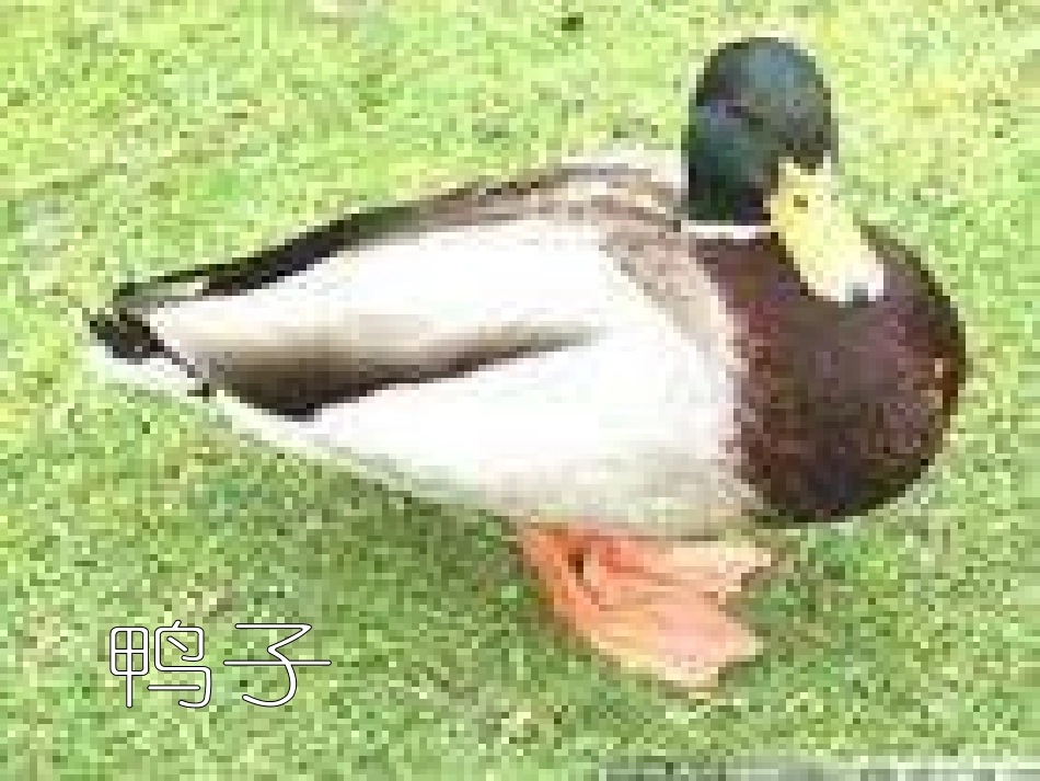 人教版物理课件八年级物理压强_第3页