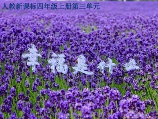 幸福是什么课件(3)