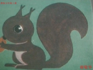 松鼠课件（人教语文五上）