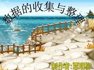 数据的收集与整理()