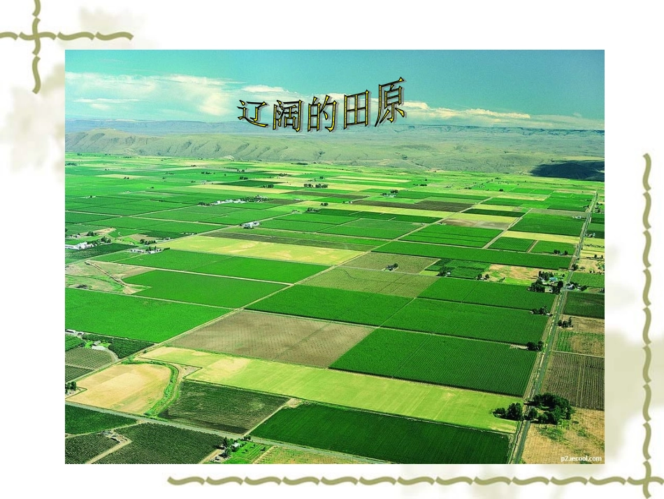 思想品德：第四课《了解基本国策与发展战略》第三框课件(人教新课标九年级)_第3页