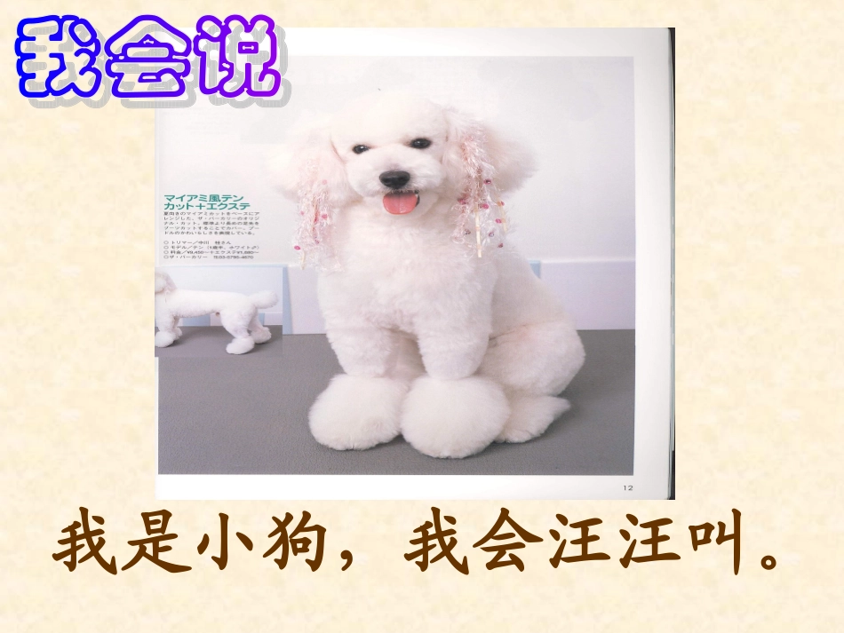 认识动物（拓展）_第2页