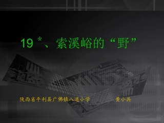 《索溪峪的“野”》教学课件