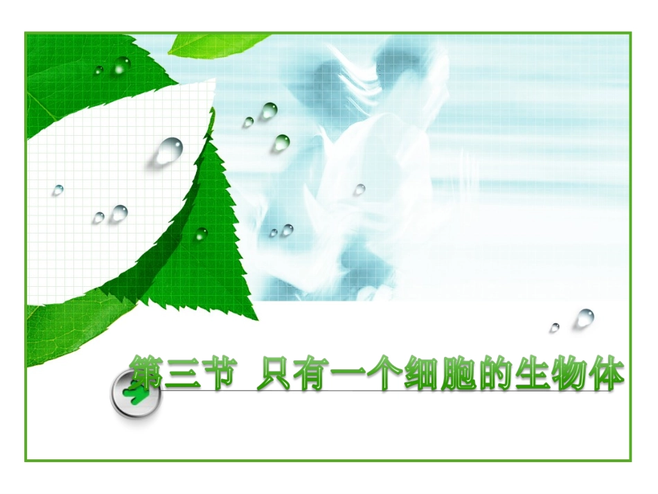 只有一个细胞的生物_第2页