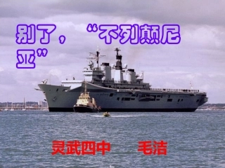 别了不列颠尼亚毛洁