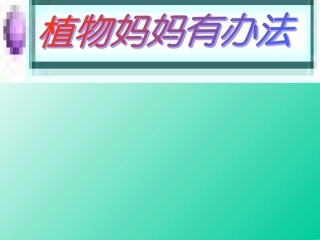 《植物妈妈有办法》PPT课件