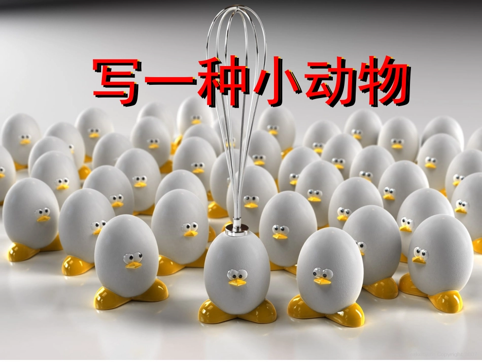 三年级。写一种小动物_第1页