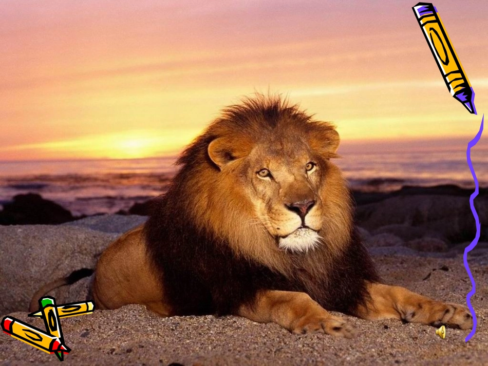 三年级。写一种小动物_第3页