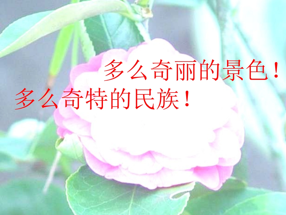 复件自己的花是让别人看的课件_第2页