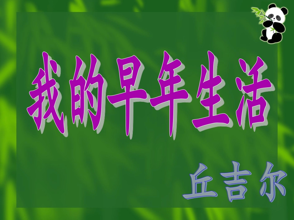 我的早年生活_课件_第3页