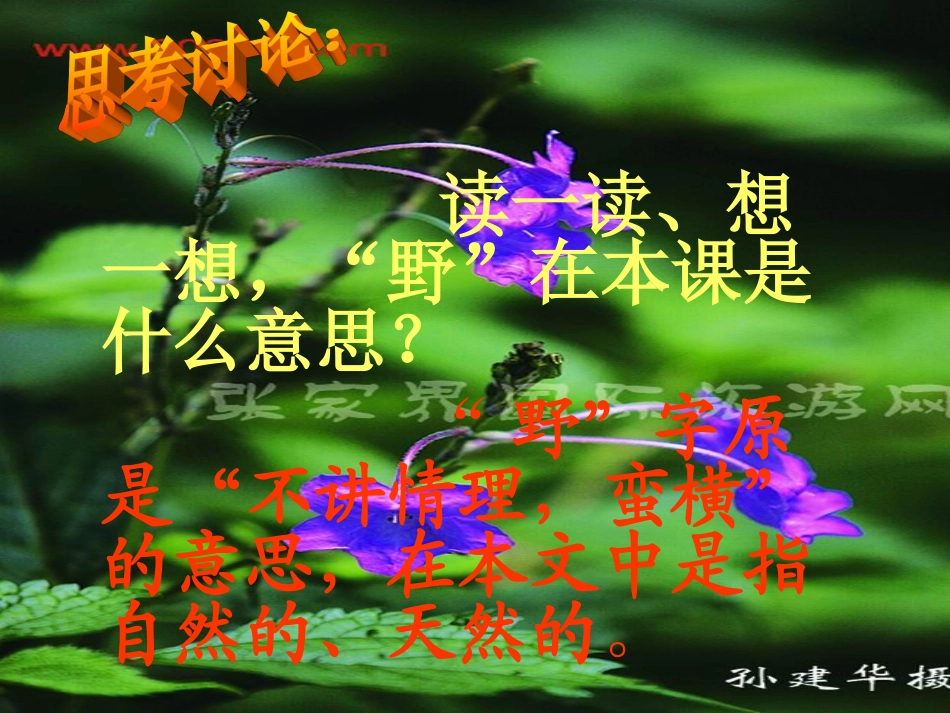 索溪峪的野_优秀课件_第2页