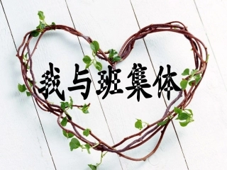 我与班集体 (2)