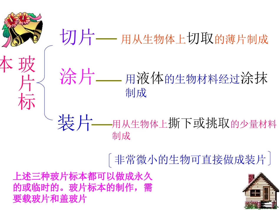人教版七上第二单元+第一章第二节植物细胞_第3页