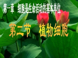 人教版七上第二单元+第一章第二节植物细胞