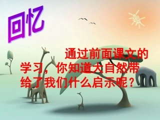 人教版语文四年级下册《大自然的启示》公开课