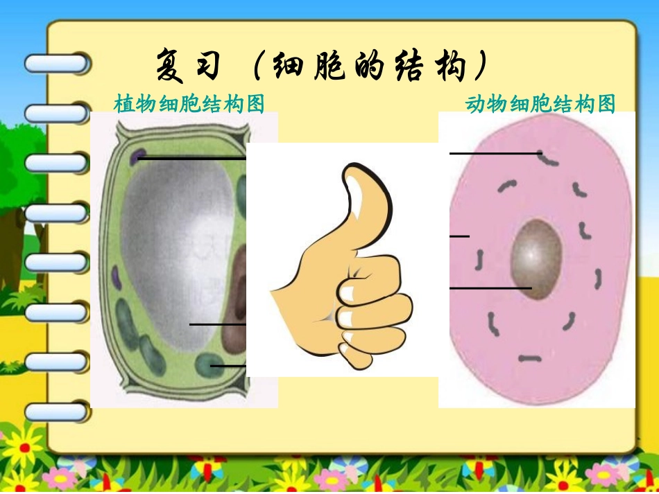 细胞生活(课件)_第1页
