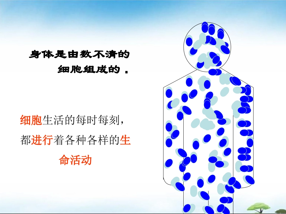细胞生活(课件)_第2页