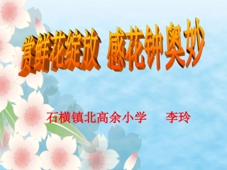 三年级13《花钟》课件