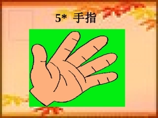 手指课件一(PPT)