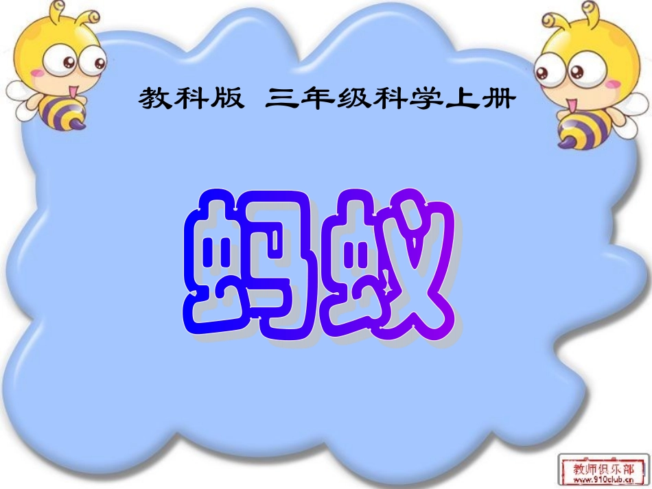 教科版三年级科学上册《蚂蚁》课件_第1页