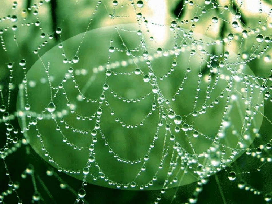 雨说郑愁予吴丹丹_第3页