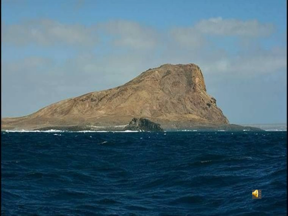 非洲（第二课时）_第2页