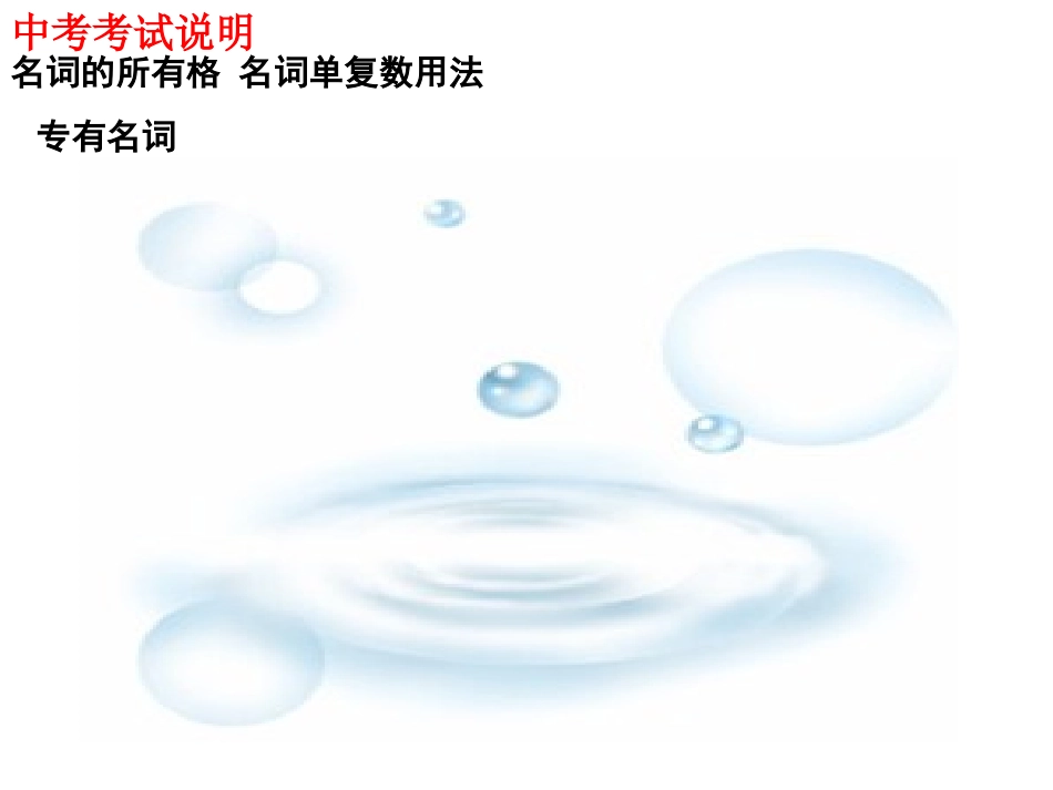 中考英语复习课件名词_第2页